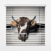 INNENROLLO - Fensterrollo - Rollo - 110x140 cm - Kuh - Grau, Kunststoff (110/140/0.5cm) - TULUP