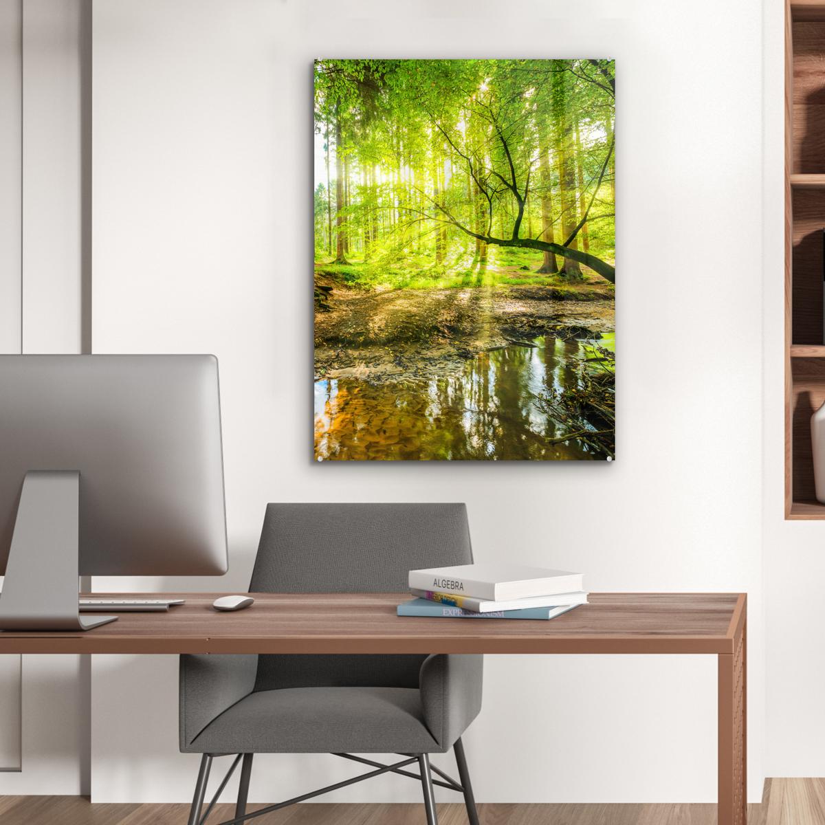 ACRYLGLASBILD Wald - Landschaft - Wasser - Bäume - Sonne - Grün - Natur 60x80 cm - Grün, Glas (60/80cm) - MuchoWow