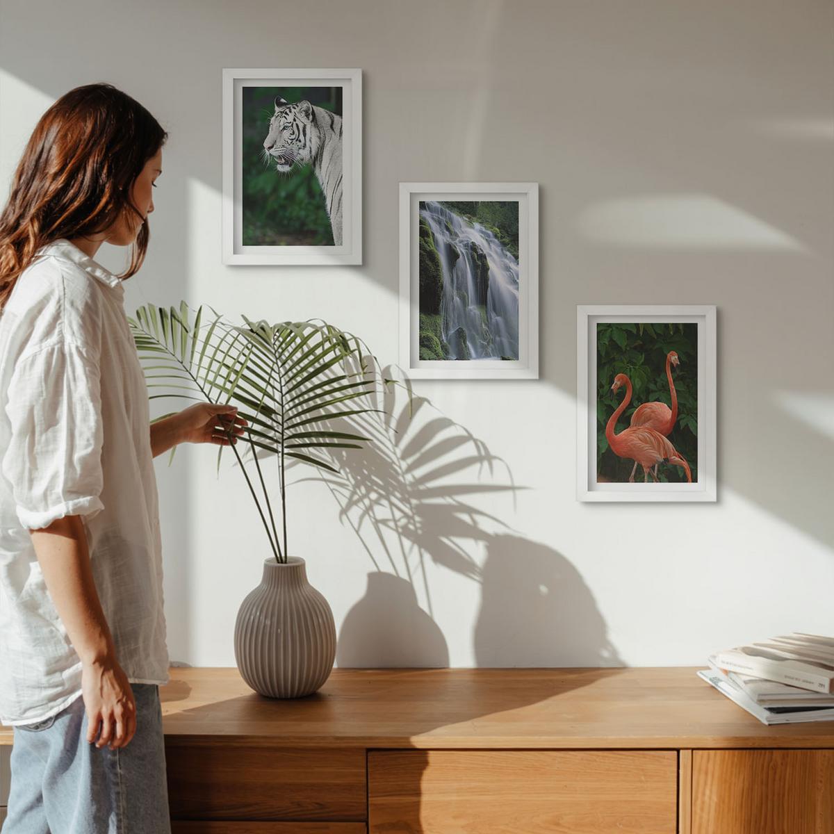 BILDER SET 3er Set - 20x30 cm Weißer Rahmen - Tiger Wasserfall Flamingos Natur - Weiß, Kunststoff (20/30cm) - TULUP