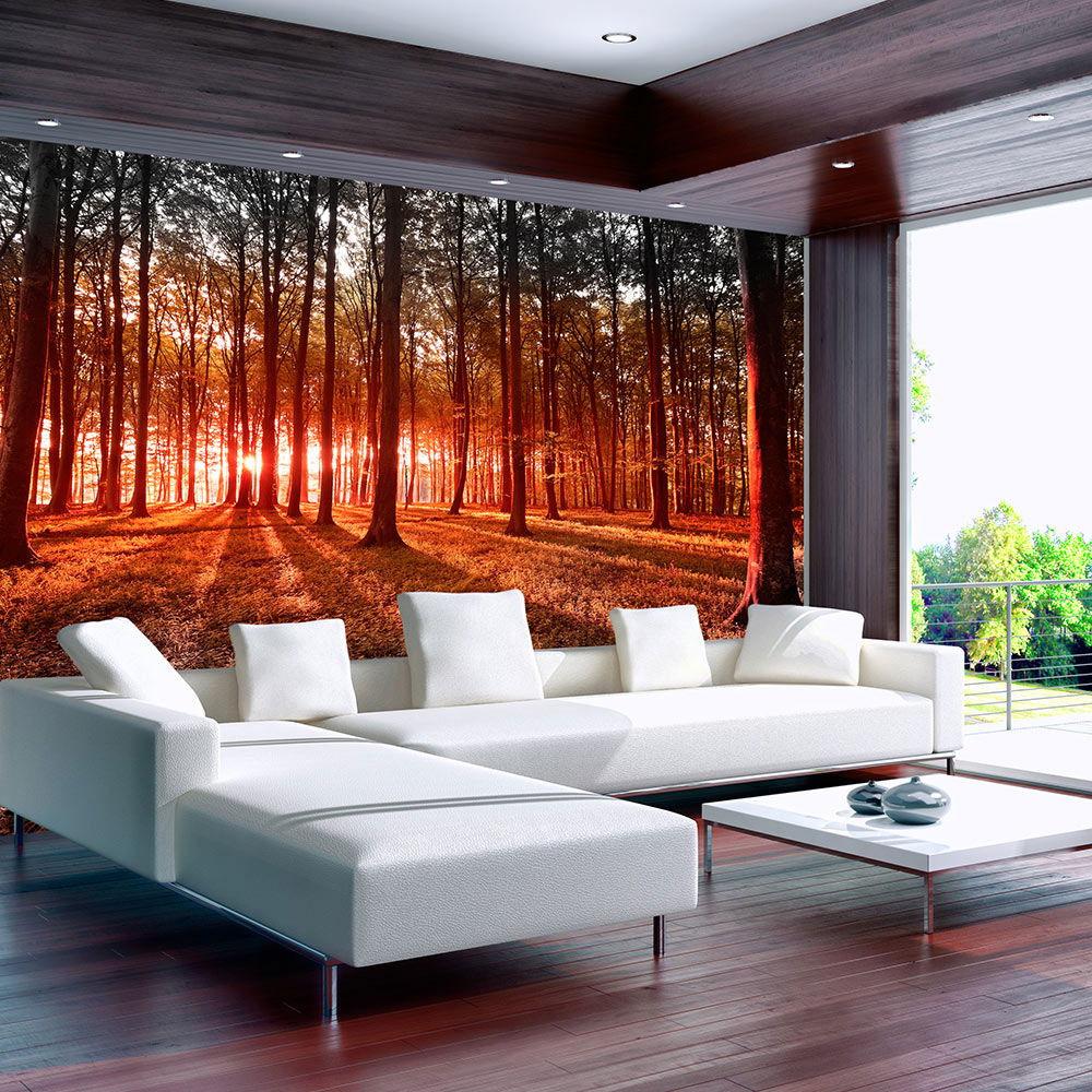 SELBSTKLEBENDE FOTOTAPETE 294/210 cm - Braun/Orange, Kunststoff/Textil (294/1cm) - KUNSTLOFT
