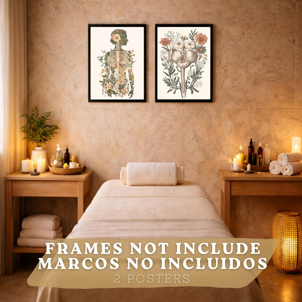 POSTER Set aus 2 Anatomie Mensch Drucke und Wandbilder mit Weiblicher Silhouette und Fortpflanzungssystem Botanischer Vintage Stil Größe Rahmenlos A4 - Klar, Papier (21/29.7/3cm) - Nacnic