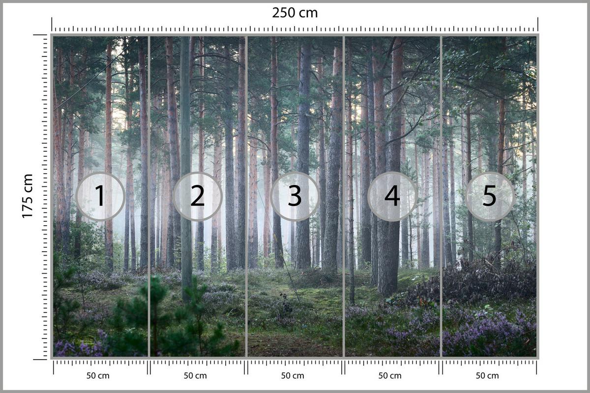FOTOTAPETE für Wohnzimmer Nebelwald mit Bäumen Moos Grün 250x175 - Grau/Grün, Papier (250/175cm) - Muralo