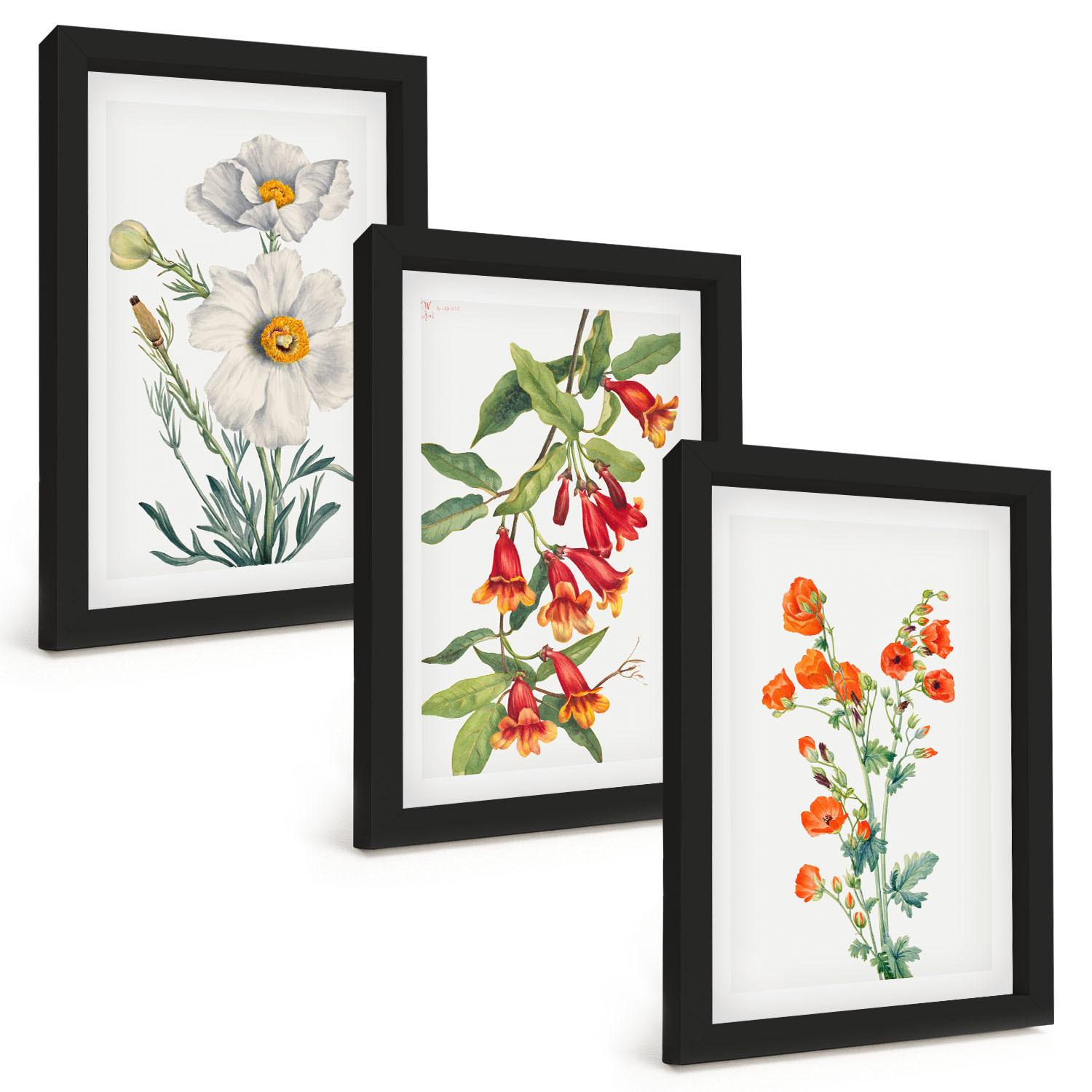 BILDER SET 3er Set - 20x30 cm Schwarzer Rahmen - Retro-Blumenarrangements - Schwarz, Kunststoff (20/30cm) - TULUP