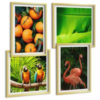 BILDER SET 4er Set - 50x50 cm & 40x60 cm Goldrahmen - Fruchtige Akzente der Tropen - Goldfarben, Kunststoff (50/50cm) - TULUP