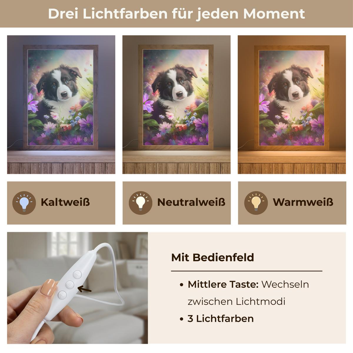 WANDLEUCHTE Welpe - Sonne - Blumen - Natur - Border Collie - Hund 20x30 cm - Violett, Holzwerkstoff (20/30/8cm) - OnlyWow