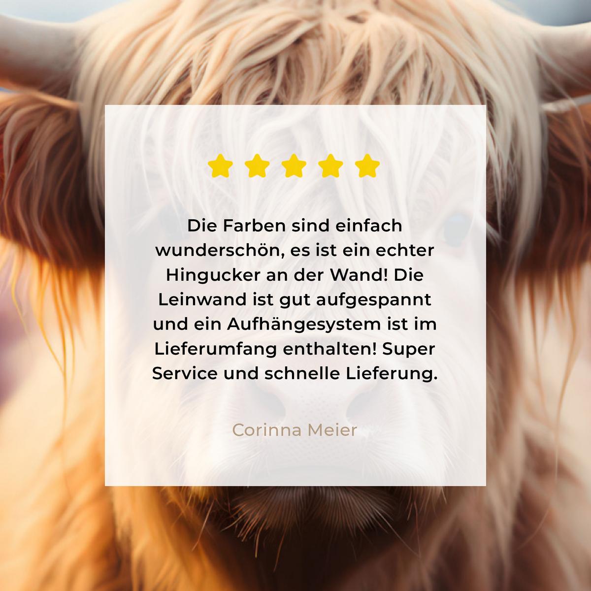 LEINWANDBILD Schottischer Hochländer - Frühling - Hochland Deko Groß 90x90 cm - Hellrosa, Textil (90/90cm) - MuchoWow