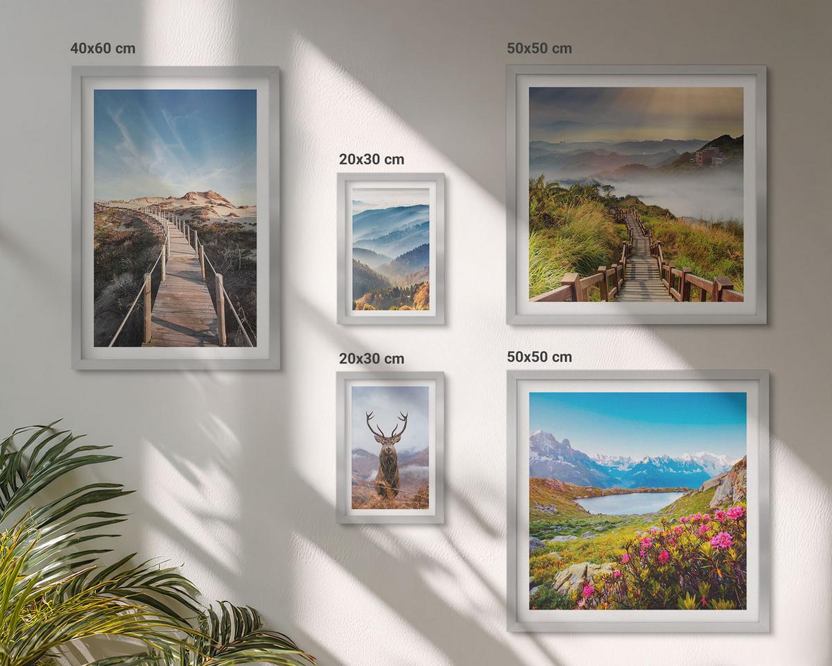 BILDER SET 5er Set - 50x50 cm & 20x30 cm & 40x60 cm Silberner Rahmen - Berglandschaft, See, Hirsche - Silberfarben, Kunststoff (40/60cm) - TULUP