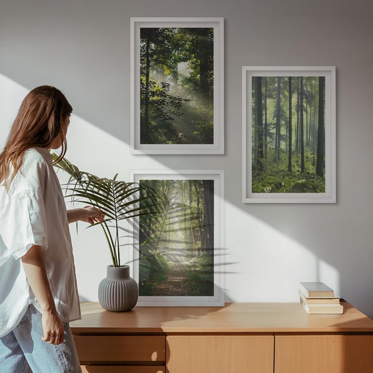 BILDER SET 3er Set - 40x60 cm Weißer Rahmen - Grüne Wälder mit Lichtstrahlen - Weiß, Kunststoff (40/60cm) - TULUP