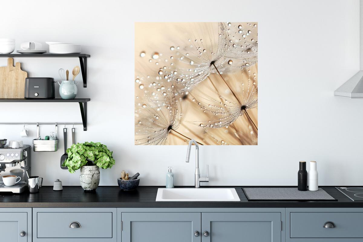 WANDTATTOO Löwenzahn - Abstrakt - Natur - Beige Wanddeko 50x50 cm - Braun, Kunststoff (50/50/0.1cm) - MuchoWow