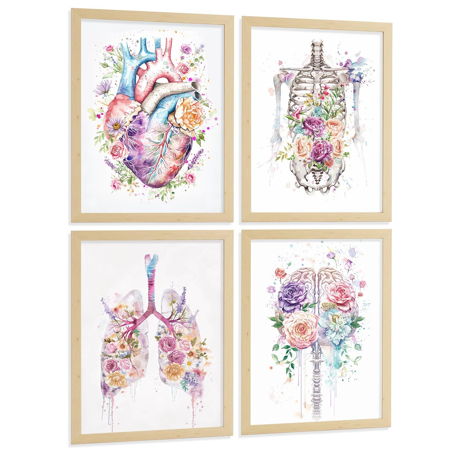 POSTER Set aus 4 Anatomie Mensch Drucke und mit Herz Gehirn Lungen Luftröhre Bronchien Wirbelsäule Florales Aquarell Design Leichter Holzrahmen A3 - Beige, Papier (29.7/42/3cm) - Nacnic