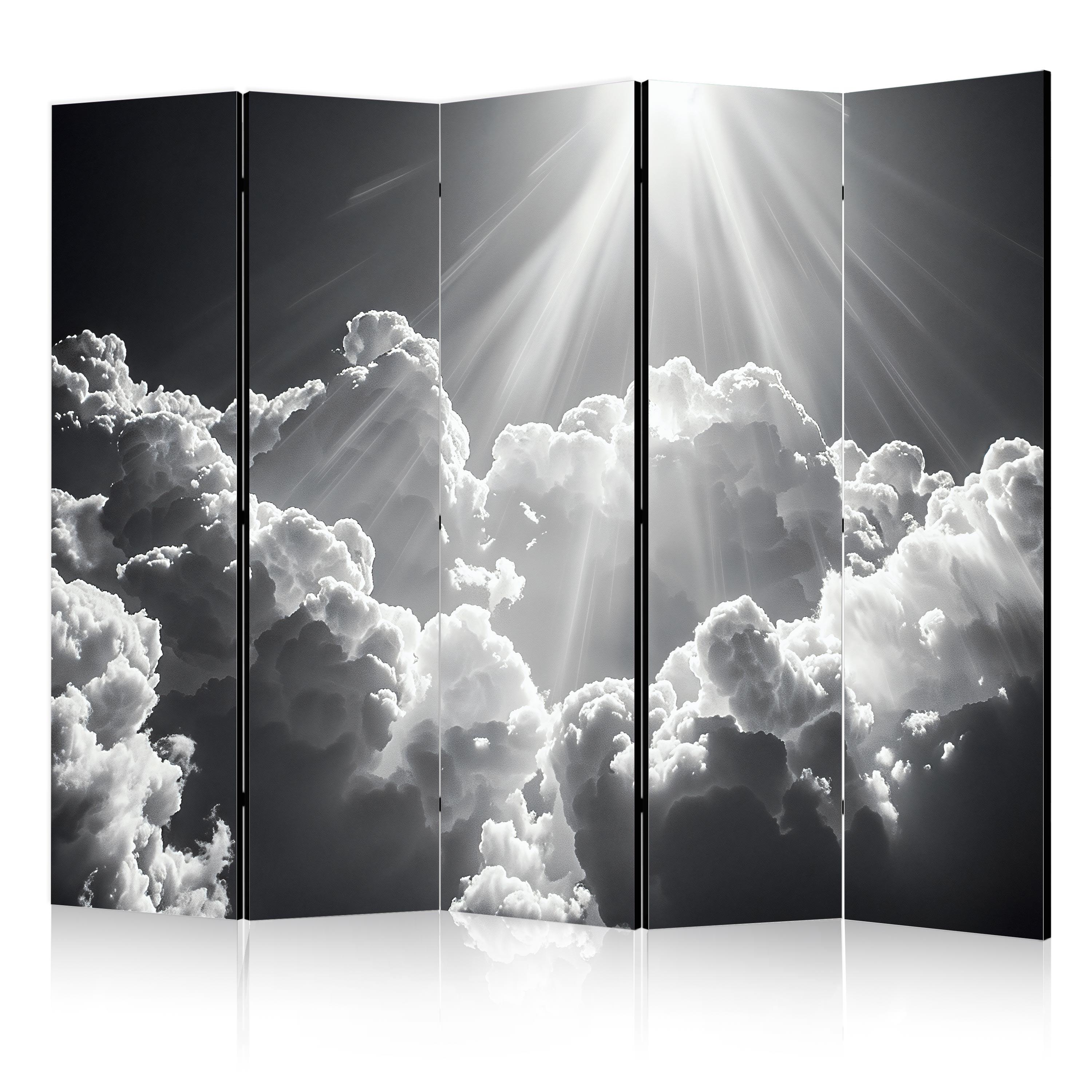 PARAVENT Beidseitig Bedruckter 5-tlg 225x172 cm Schwarz-Weisser Himmel - Schwarz, Holz/Textil (225/172/3cm) - Muralo