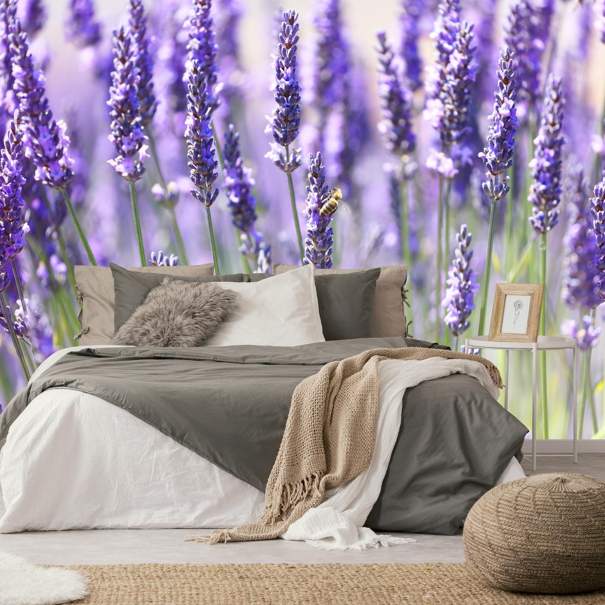 FOTOTAPETE für Küche Lavendelwiese Blumen Kräuter 450x315 - Violett/Grün, Papier (450/315cm) - Muralo