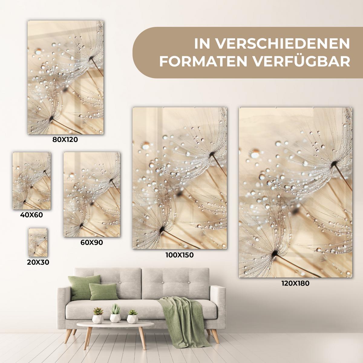 ACRYLGLASBILD Löwenzahn - Abstrakt - Natur - Beige 80x120 cm - Braun, Glas (80/120cm) - MuchoWow
