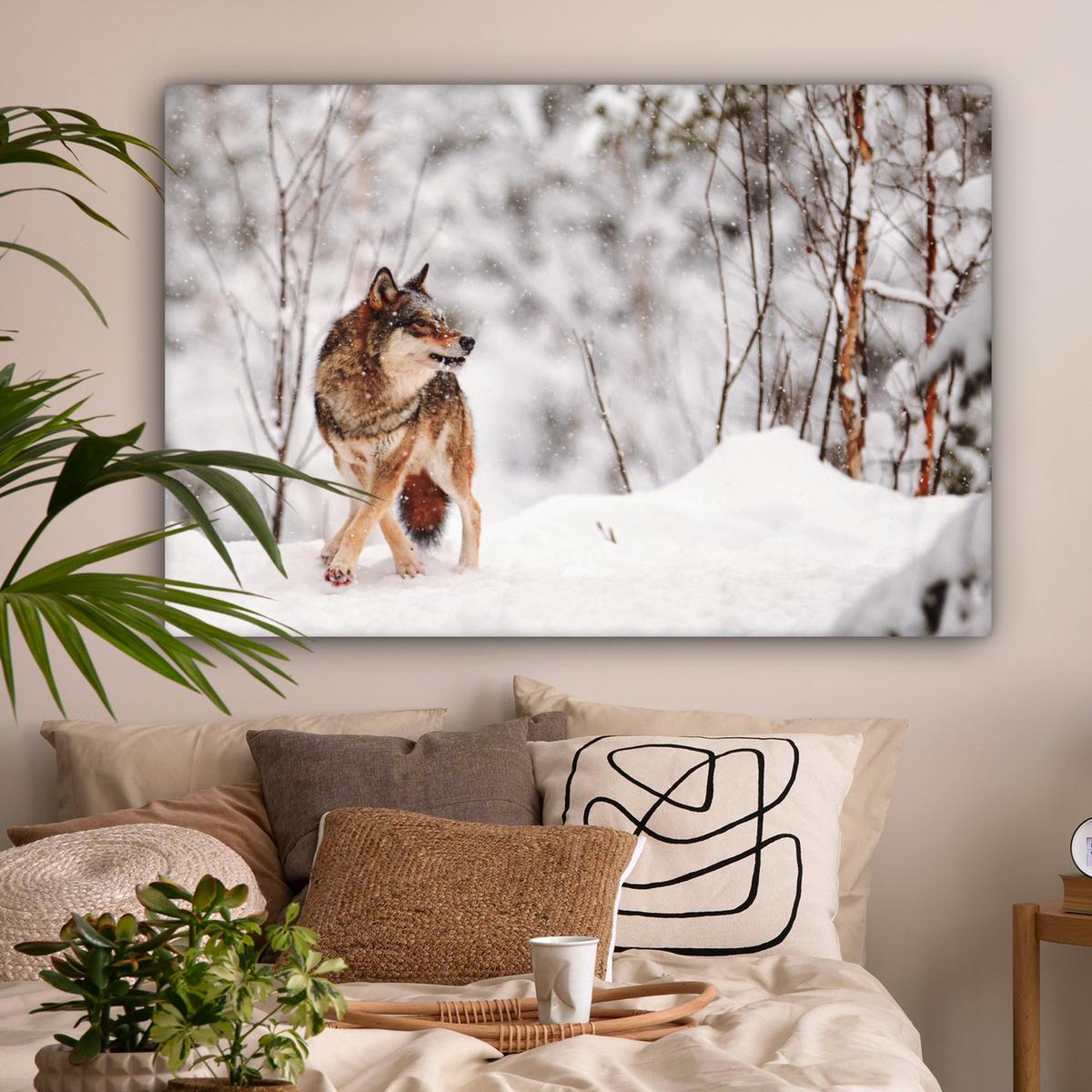 LEINWANDBILD Wolf - Winter - Schnee - Natur - Tiere Wohnzimmer Groß 120x80 cm - Haselnussfarben, Textil (120/80cm) - MuchoWow