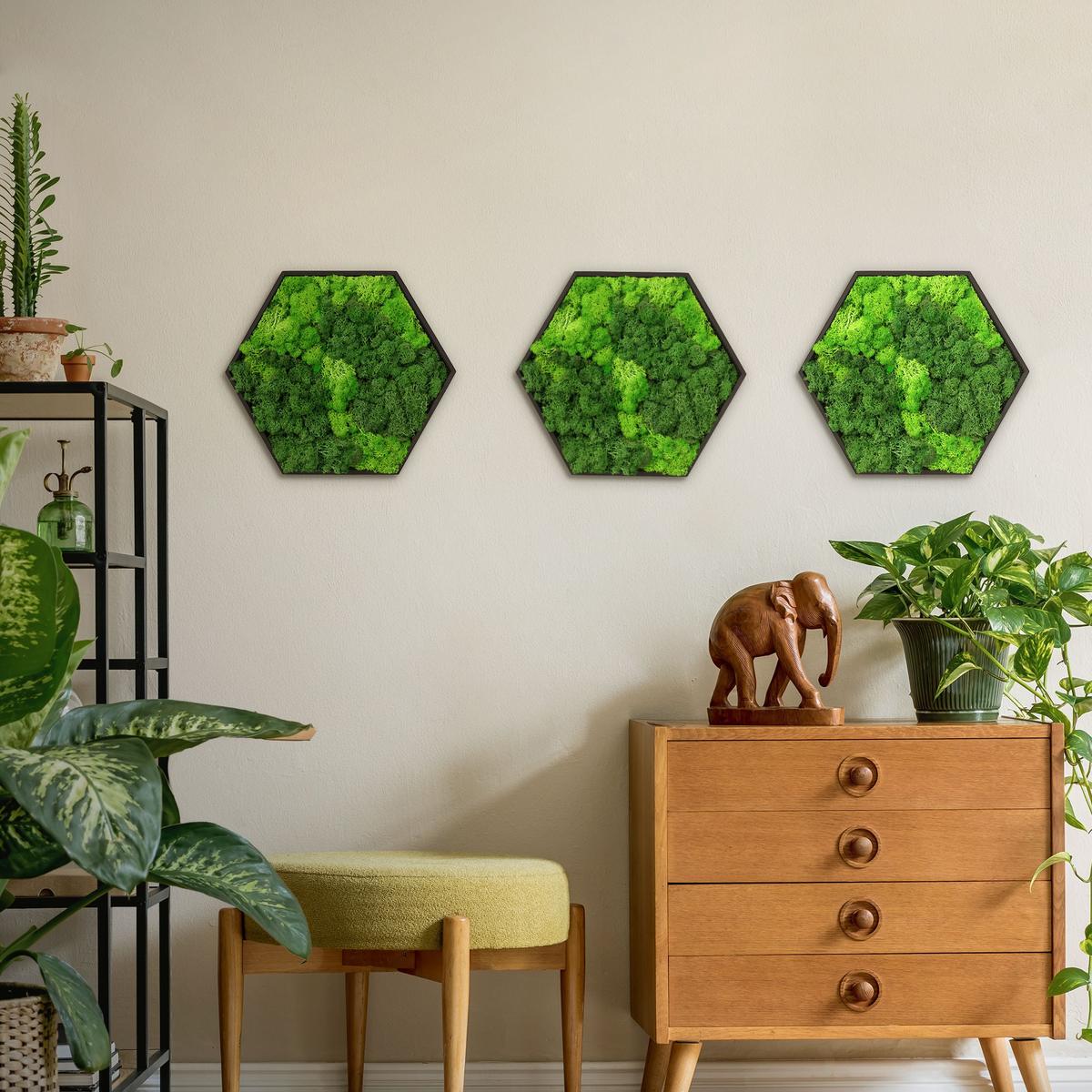 MOOSBILD Hexagon 38x34 cm Mooswand Indoor mit echtem Islandmoos und Holzrahmen Grün Pflegefrei - Hellgrün, Naturmaterialien (38/34/3.4cm) - ECD-Germany