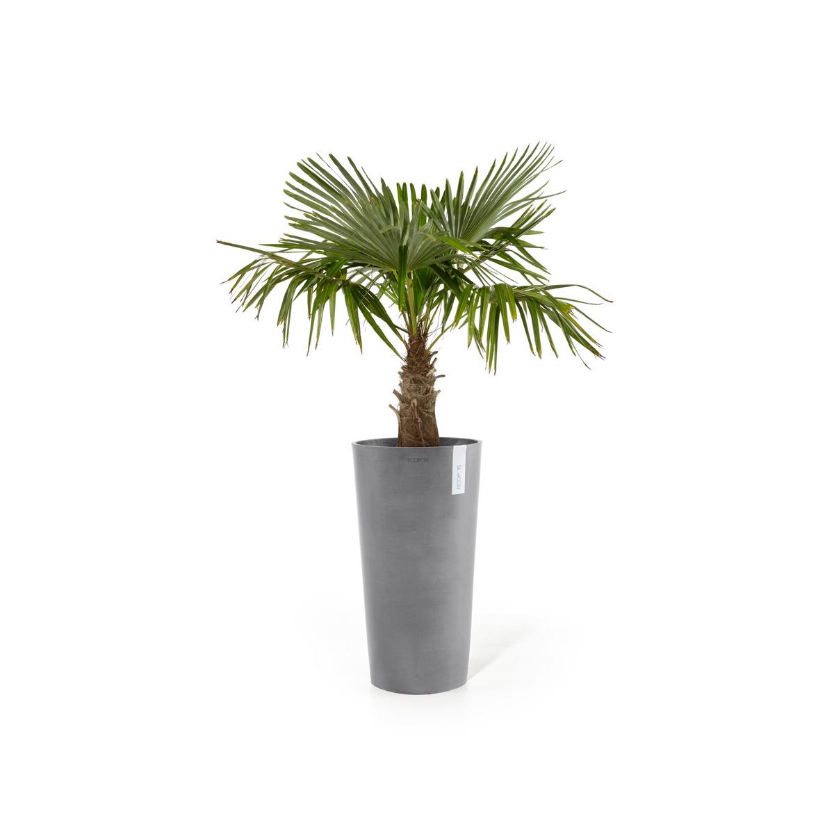 BLUMENTOPF Amsterdam High 41,5/76,8 cm Grau - Grau, Kunststoff (41.5/76.8cm) - Ecopots
