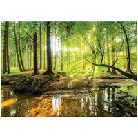 FOTOTAPETE Kinderzimmer Sonne 200x140 - Multicolor, Papier (200/140cm) - Wallarena