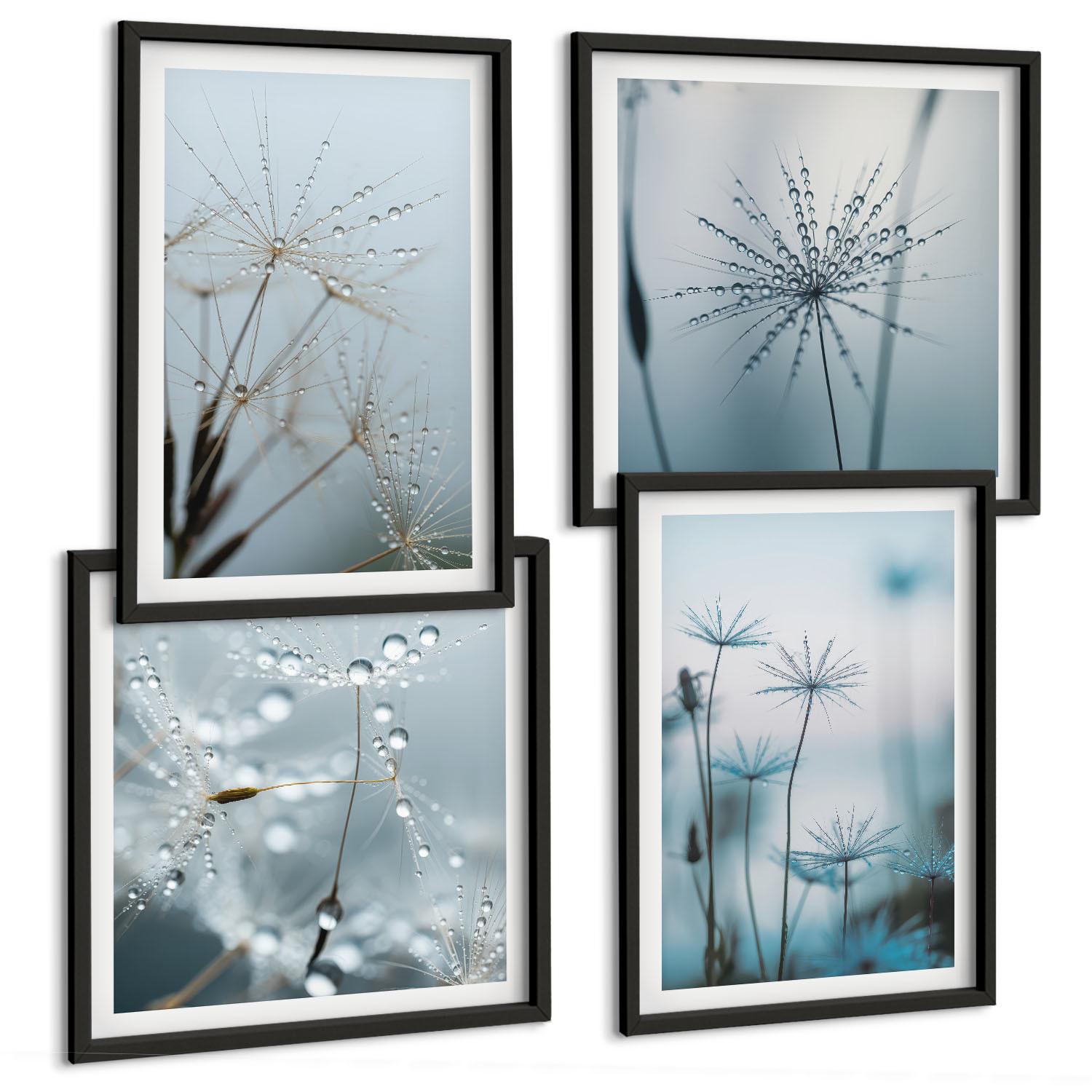 BILDER SET 4er Set - 50x50 cm & 40x60 cm Schwarzer Rahmen - Löwenzahn-Wassertropfen - Schwarz, Kunststoff (50/50cm) - TULUP