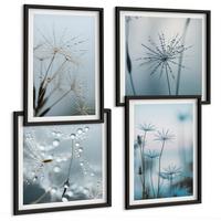 BILDER SET 4er Set - 50x50 cm & 40x60 cm Schwarzer Rahmen - Löwenzahn-Wassertropfen - Schwarz, Kunststoff (50/50cm) - TULUP