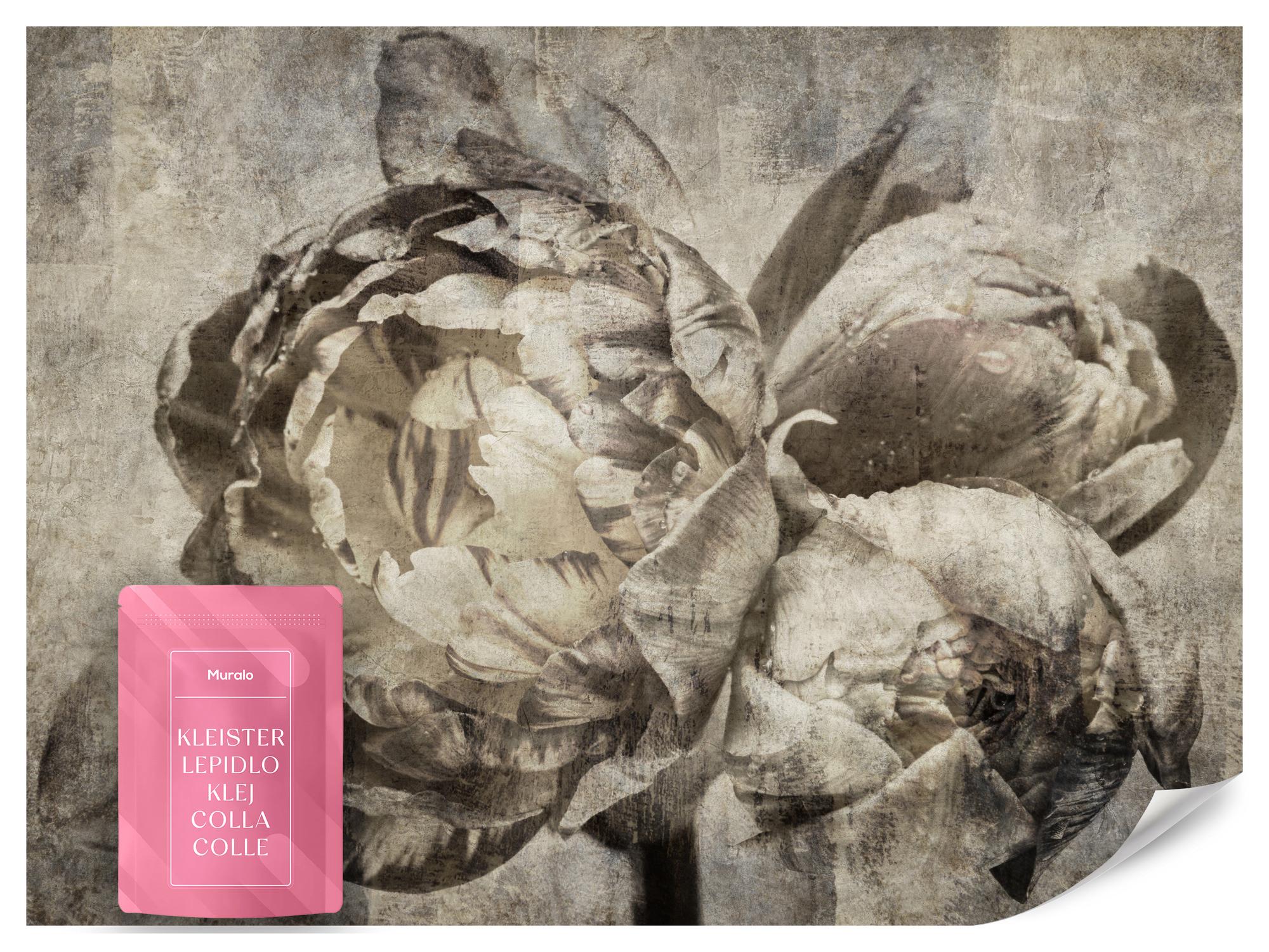 FOTOTAPETE Pfingstrosen Blumen Beton Vintage 350x256 - Beige/Braun, Papier (350/256cm) - Muralo