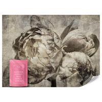 FOTOTAPETE Pfingstrosen Blumen Beton Vintage 350x256 - Beige/Braun, Papier (350/256cm) - Muralo