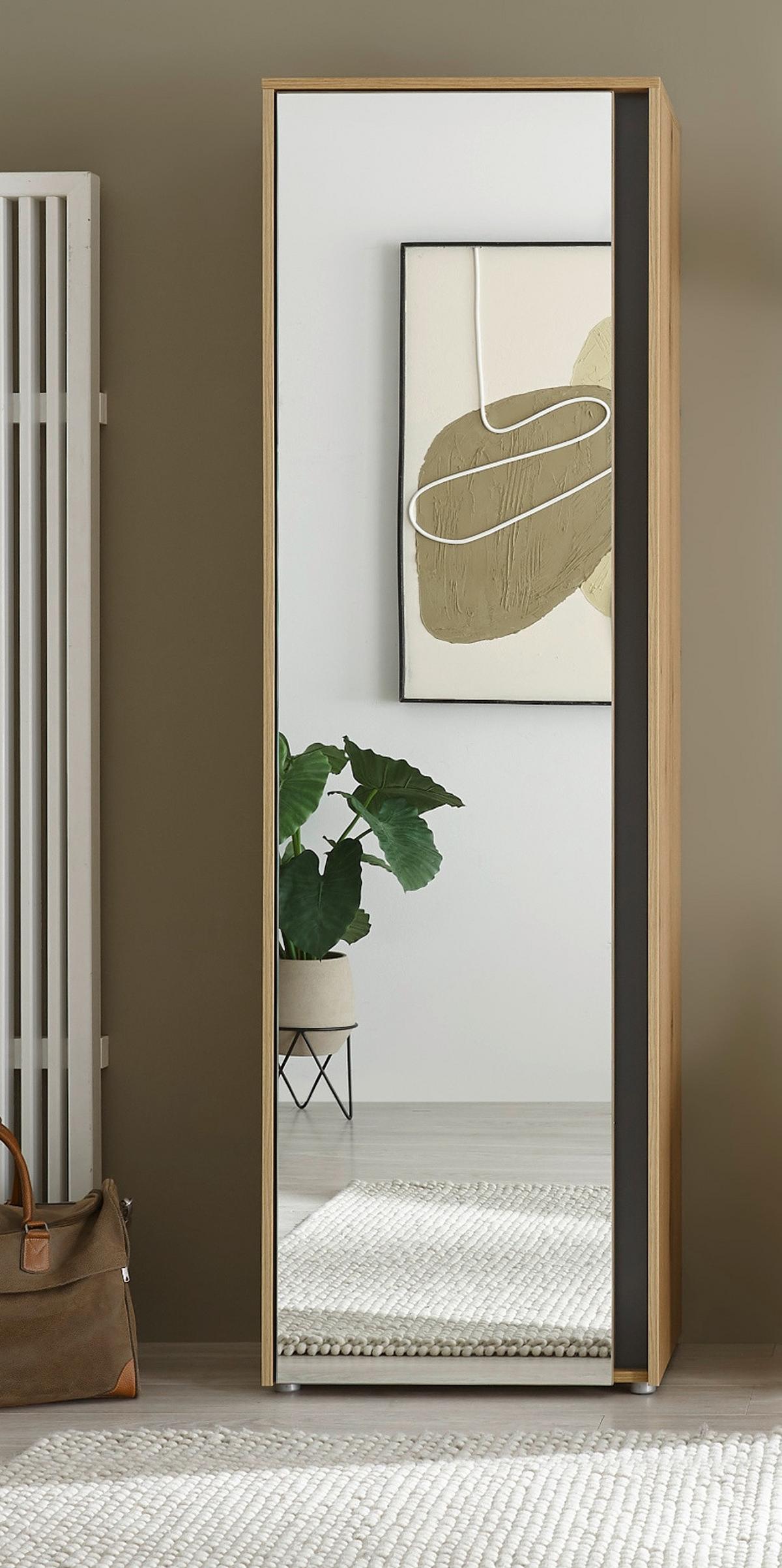 GARDEROBENSCHRANK Evoke Eiche, grau 60 x 200 cm, Flurschrank mit Spiegel - Eichefarben/Schwarz, Glas/Holzwerkstoff (60/200/40cm) - Furn.Design