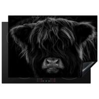 HERDABDECKPLATTE Schottischer Highlander - Kuh - Schwarz - Weiß - Tiere Herdabdeckung Induktionsfeld 75x52 cm - Schwarz, Kunststoff (75/52/0.2cm) - MuchoWow