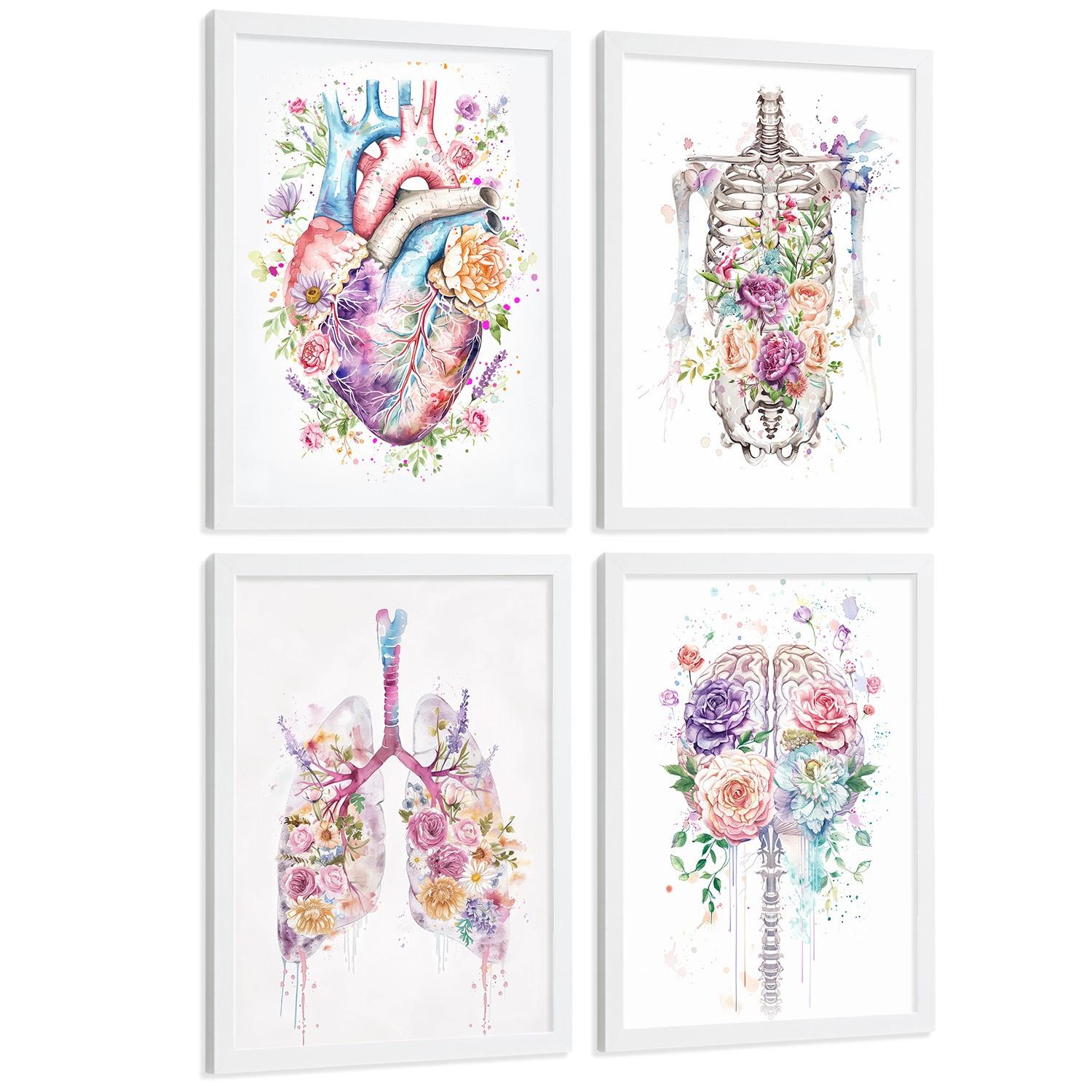 POSTER Set aus 4 Anatomie Mensch Drucke und mit Herz Gehirn Lungen Luftröhre Bronchien Wirbelsäule Florales Aquarell Design Größe Weißer Rahmen A4 - Weiß, Papier (21/29.7/3cm) - Nacnic