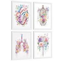 POSTER Set aus 4 Anatomie Mensch Drucke und mit Herz Gehirn Lungen Luftröhre Bronchien Wirbelsäule Florales Aquarell Design Größe Weißer Rahmen A4 - Weiß, Papier (21/29.7/3cm) - Nacnic