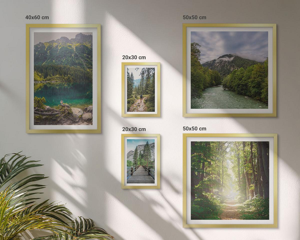 BILDER SET 5er Set - 50x50 cm & 20x30 cm & 40x60 cm Goldrahmen - Straße Wald Berge Hirsch Natur - Goldfarben, Kunststoff (40/60cm) - TULUP