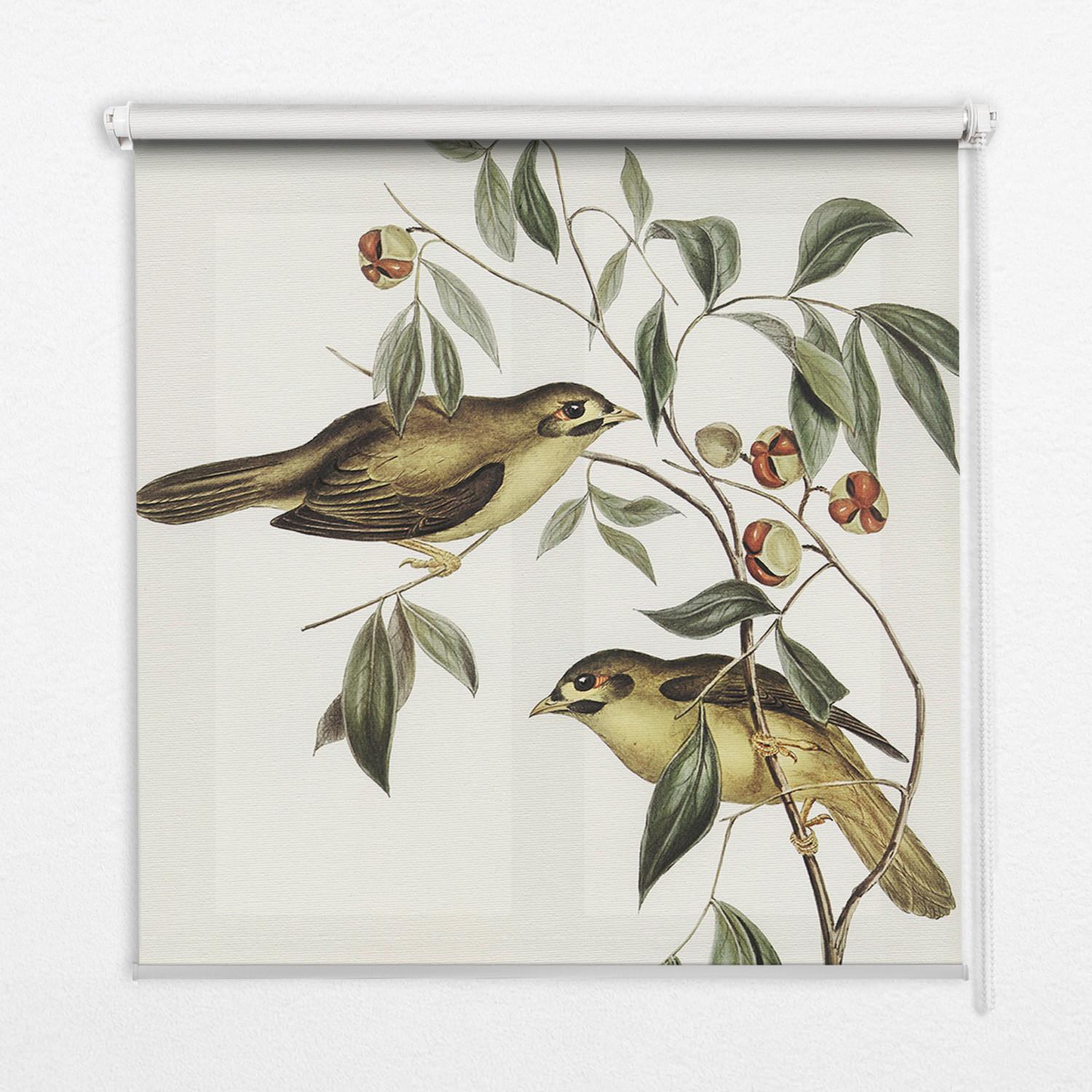 INNENROLLO - Fensterrollo - Rollo - 140x140 cm - Vögel auf einem Baum - Weiß, Kunststoff (140/140/0.5cm) - TULUP