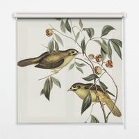 INNENROLLO - Fensterrollo - Rollo - 80x180 cm - Vögel auf einem Baum - Weiß, Kunststoff (80/180/0.5cm) - TULUP