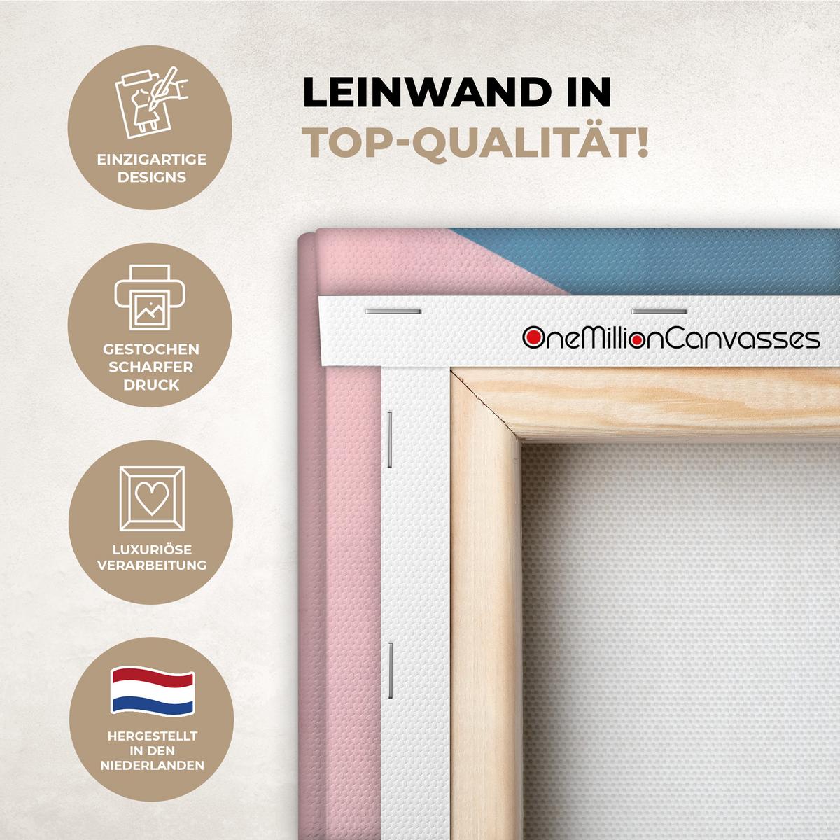 LEINWANDBILD Katze - Treppe - Gebäude - Schattenkontraste Room Decor 30x40 cm - Dunkelblau, Textil (30/40cm) - MuchoWow