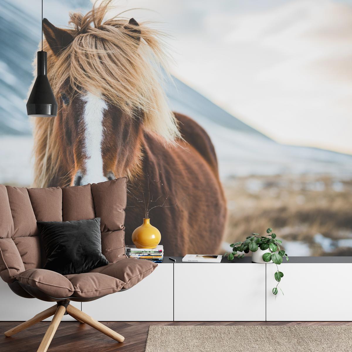 FOTOTAPETE für Schlafzimmer Isländisches Wildpferd Portrait Wiese 100x70 - Beige/Braun, Papier (100/70cm) - Muralo