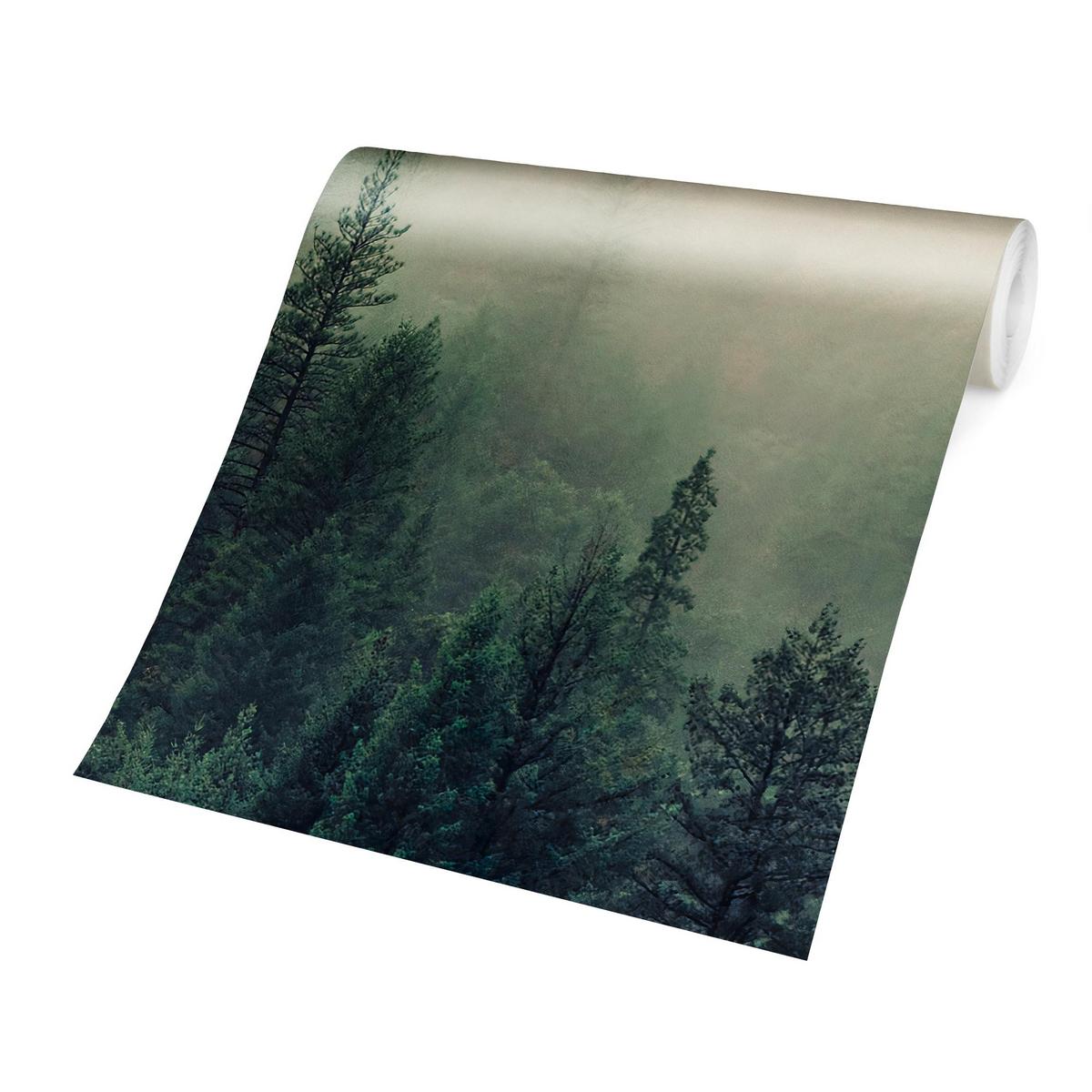 FOTOTAPETE Wald im Nebel Erwachen 192/192 cm - Grün, Papier (192/192cm) - Bilderwelten