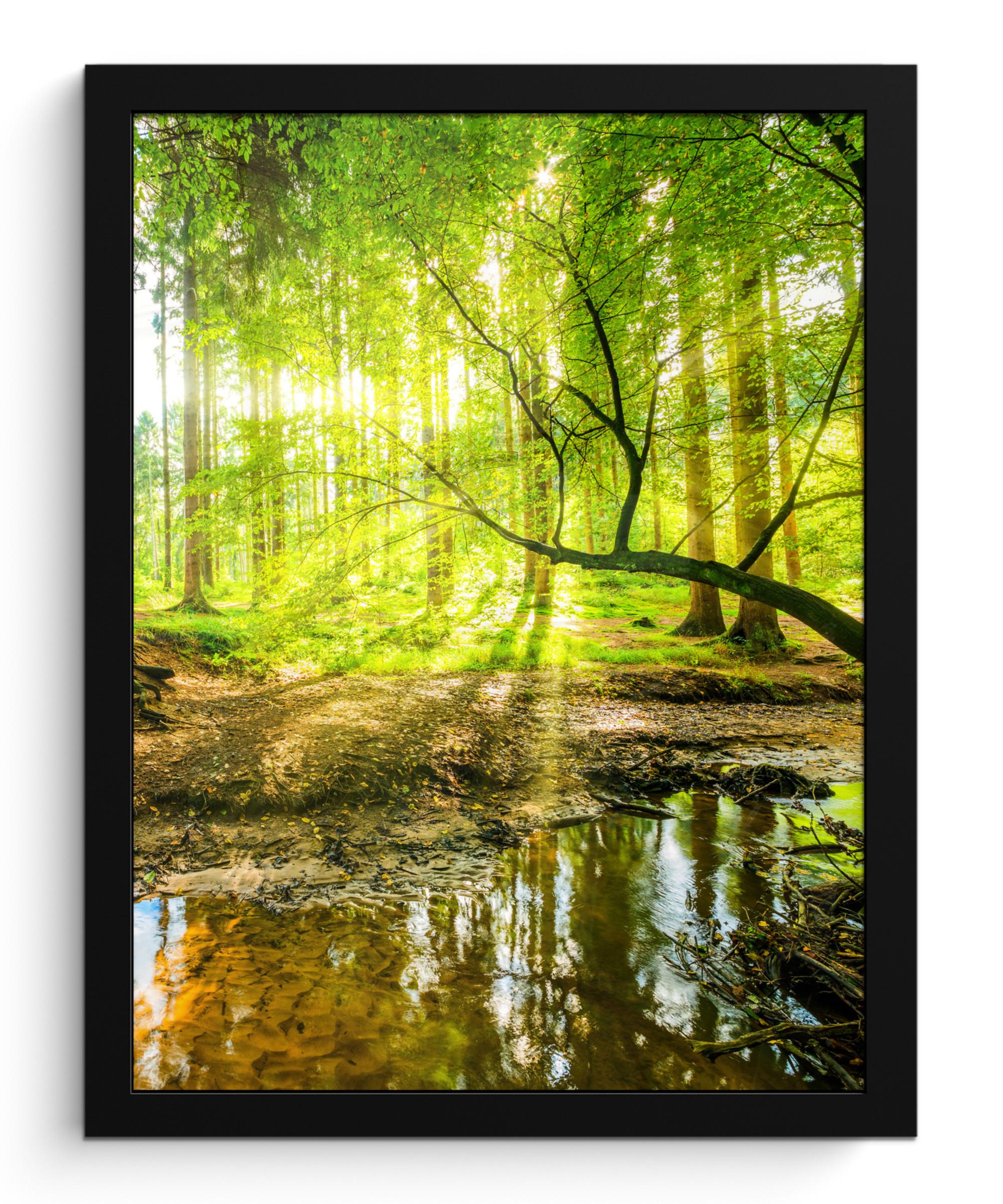 POSTER MIT RAHMENGERAHMTES BILD Wald - Landschaft - Wasser - Bäume - Sonne - Grün - Natur Bilderrahmen 30x40 cm - Grün, Papier (30/40cm) - MuchoWow