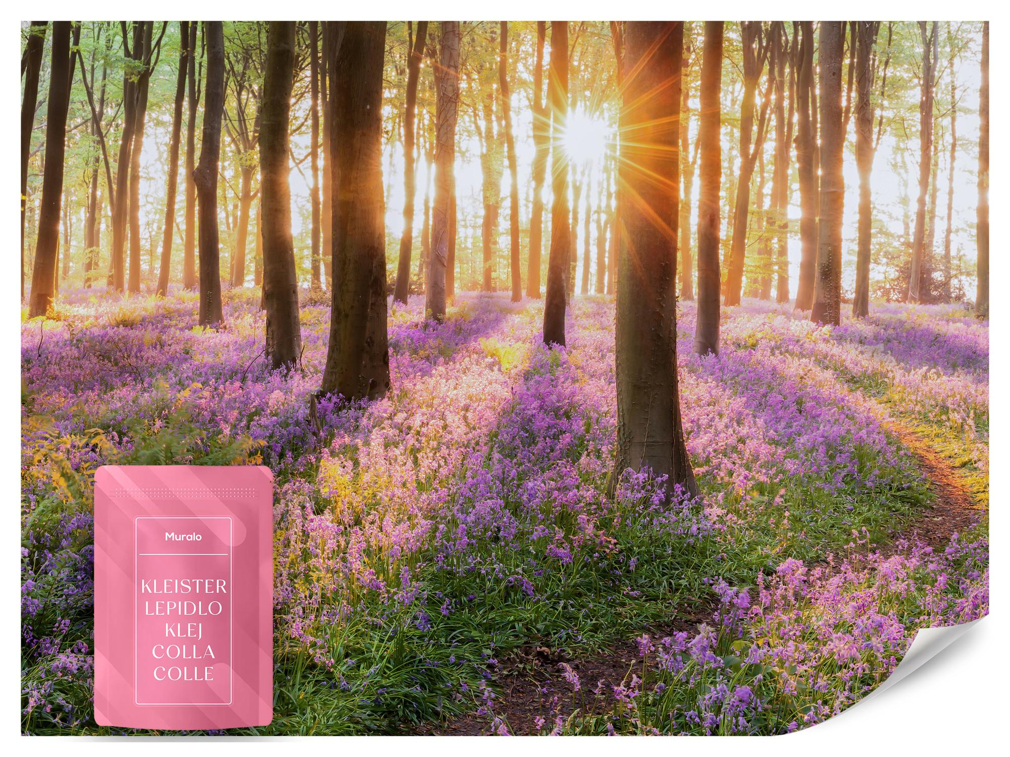 FOTOTAPETE Wald Blumen Sonnenaufgang Landschaft 3D 350x256 - Gelb/Beige, Papier (350/256cm) - Muralo