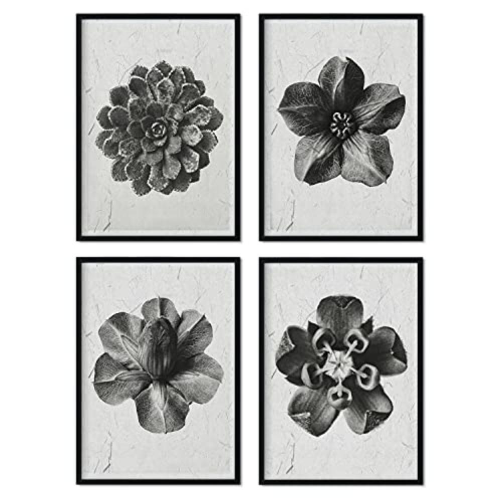 POSTER Set mit 4 von Blumenblättern Blumen und Pflanzen in Grausteinen A4 Schwarzer Rahmen - Schwarz, Papier (29.7/3cm) - Nacnic