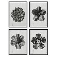 POSTER Set mit 4 von Blumenblättern Blumen und Pflanzen in Grausteinen A4 Schwarzer Rahmen - Schwarz, Papier (29.7/3cm) - Nacnic