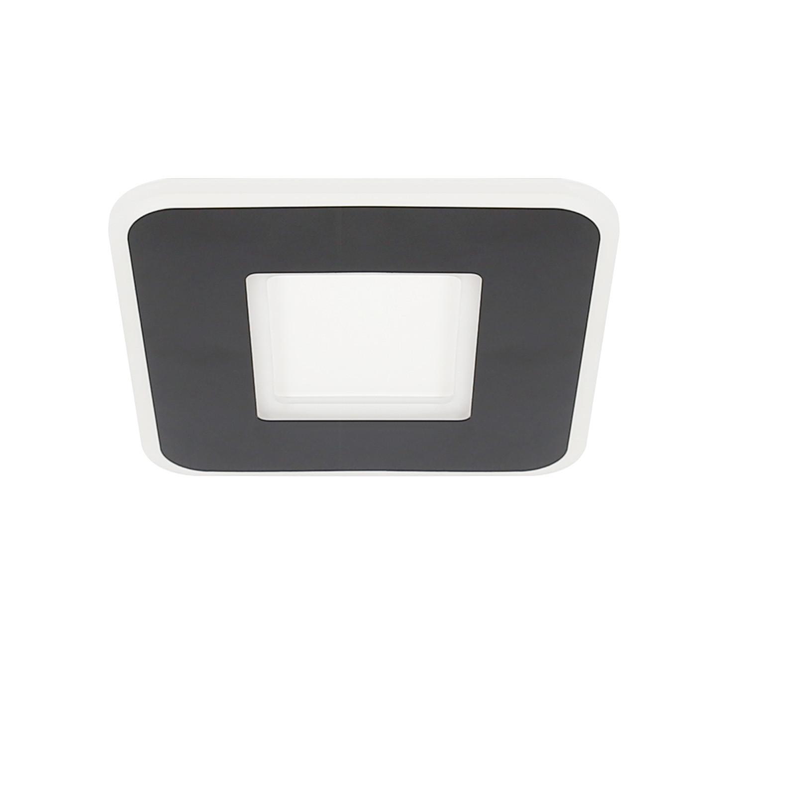 LED-DECKENLEUCHTE Gunther 24 cm - Schwarz, Metall (24/24/4cm) - Nettlife