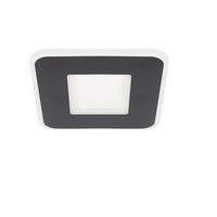 LED-DECKENLEUCHTE Gunther 24 cm - Schwarz, Metall (24/24/4cm) - Nettlife