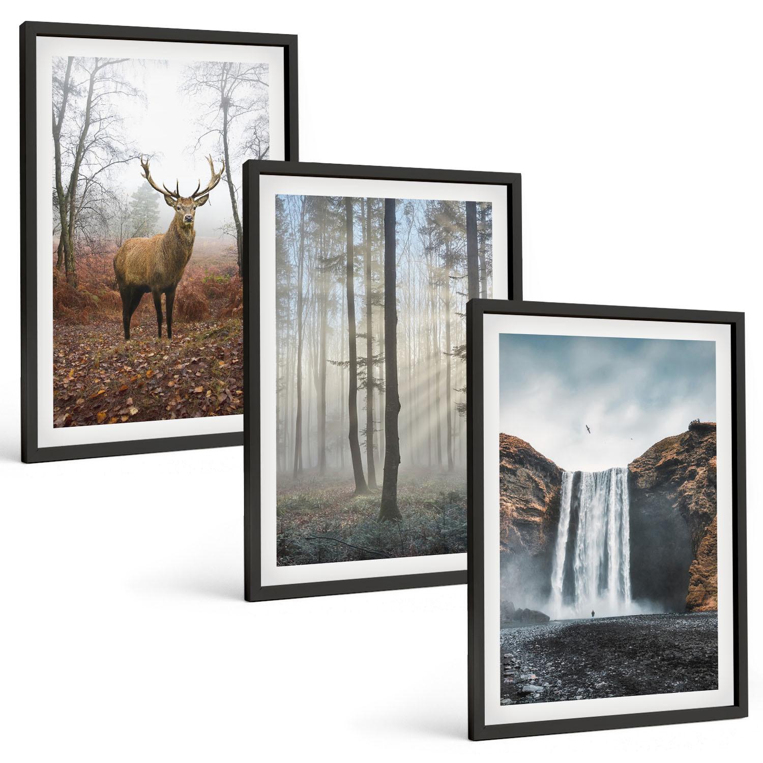 BILDER SET 3er Set - 40x60 cm Schwarzer Rahmen - Waldlandschaften, wilde Natur - Schwarz, Kunststoff (40/60cm) - TULUP