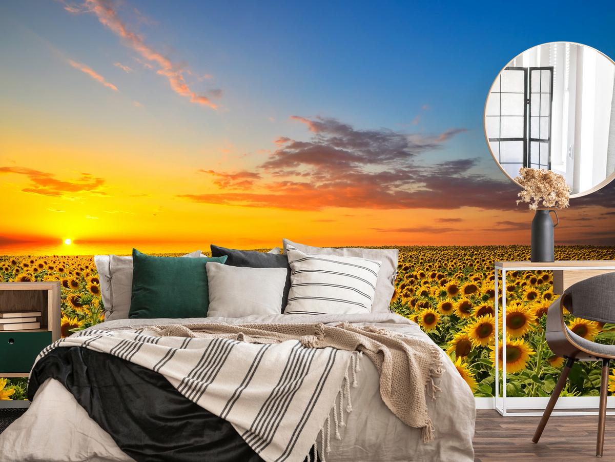 FOTOTAPETE für Küche Sonnenuntergang Sonnenblumenfeld Blumen 150x105 - Gelb/Orange, Papier (150/105cm) - Muralo