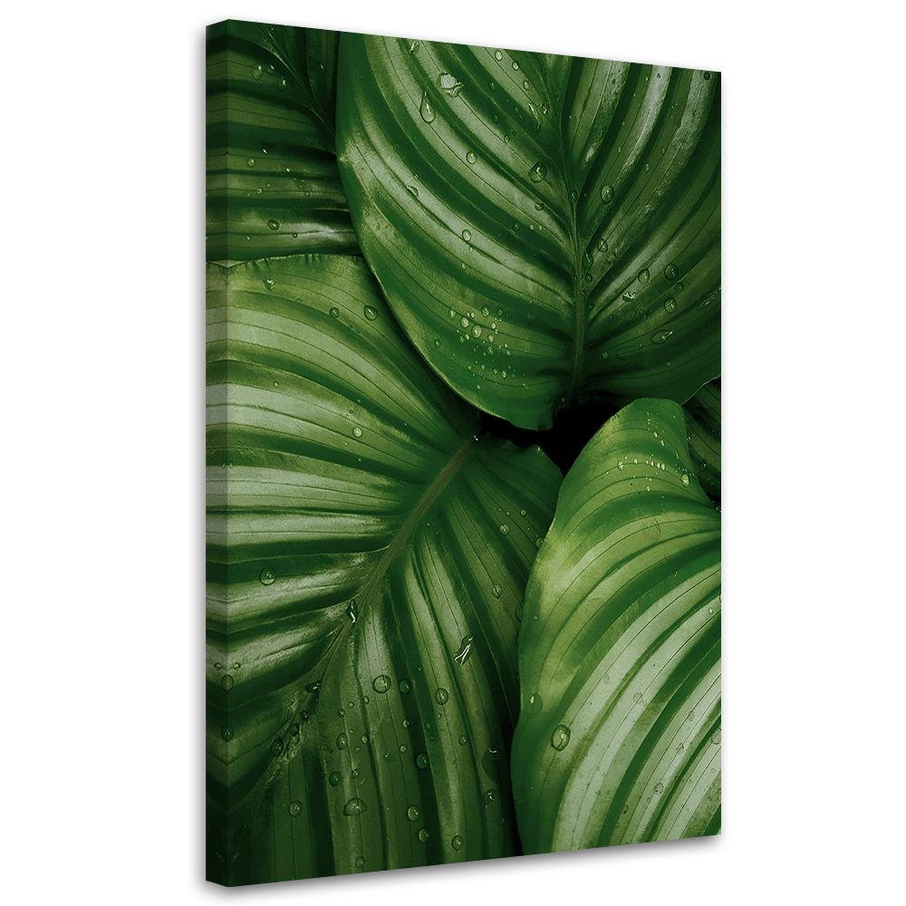 KUNSTDRUCK Grün 70/100 cm - Grün, Textil (70/100cm) - KUNSTLOFT