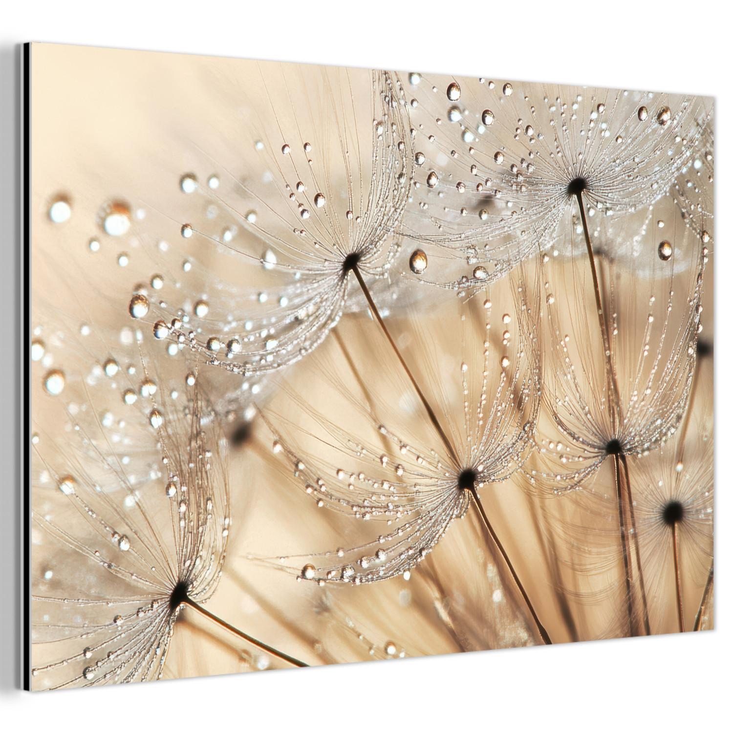 METALLBILD Löwenzahn - Abstrakt - Natur - Beige Wandbild 60x40 cm - Braun, Metall (60/40cm) - MuchoWow