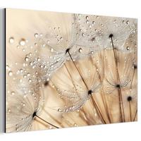 METALLBILD Löwenzahn - Abstrakt - Natur - Beige 30x20 cm - Braun, Metall (30/20cm) - MuchoWow