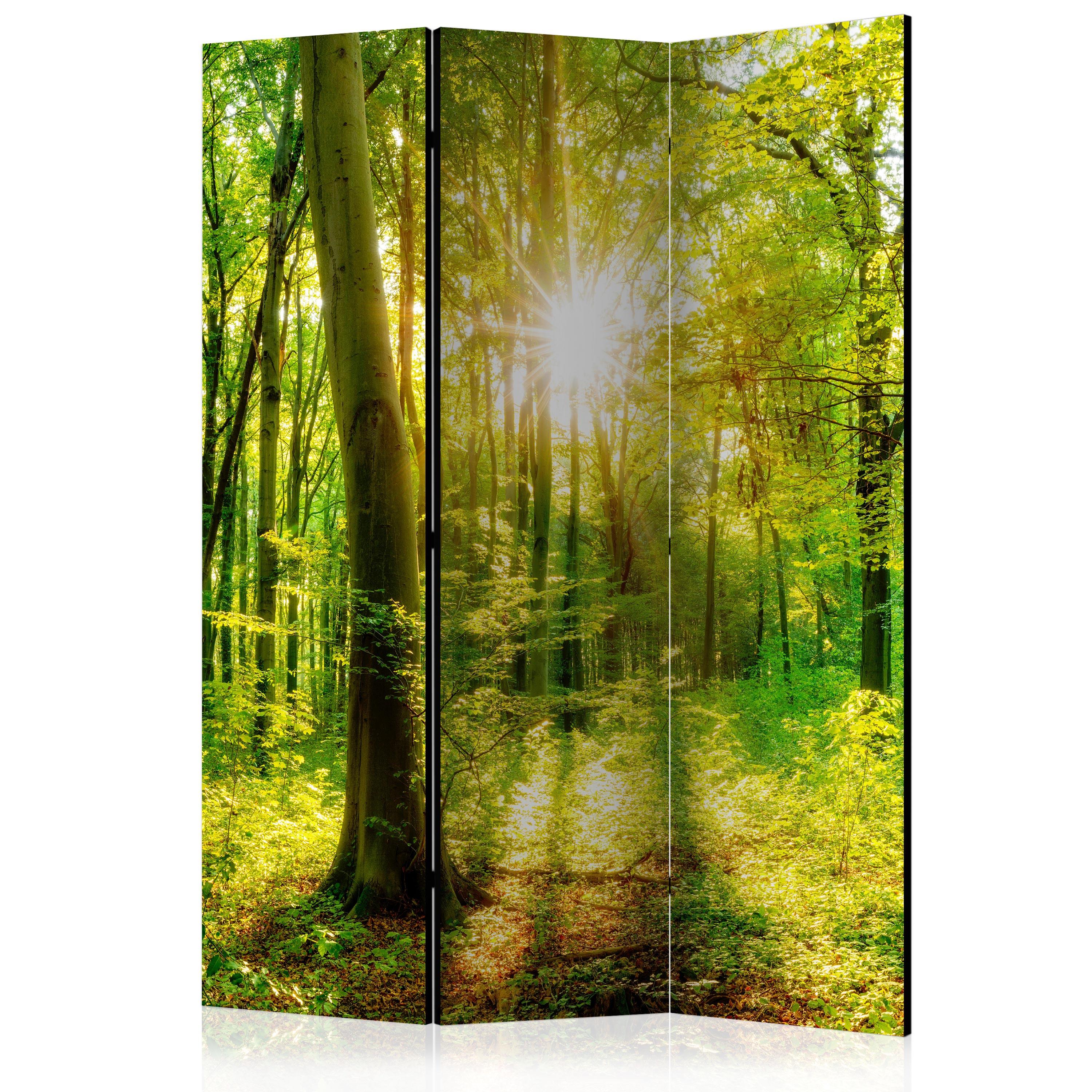 PARAVENT Beidseitig Bedruckter 3-tlg 135x172 cm Sonnenstrahlen im Wald - Grün, Holz/Textil (135/172/3cm) - Muralo