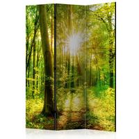 PARAVENT Beidseitig Bedruckter 3-tlg 135x172 cm Sonnenstrahlen im Wald - Grün, Holz/Textil (135/172/3cm) - Muralo