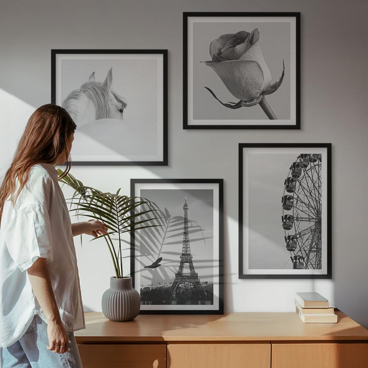BILDER SET 4er Set - 50x50 cm & 40x60 cm Schwarzer Rahmen - Rose Eiffelturm Pferd Riesenrad S/W - Schwarz, Kunststoff (50/50cm) - TULUP