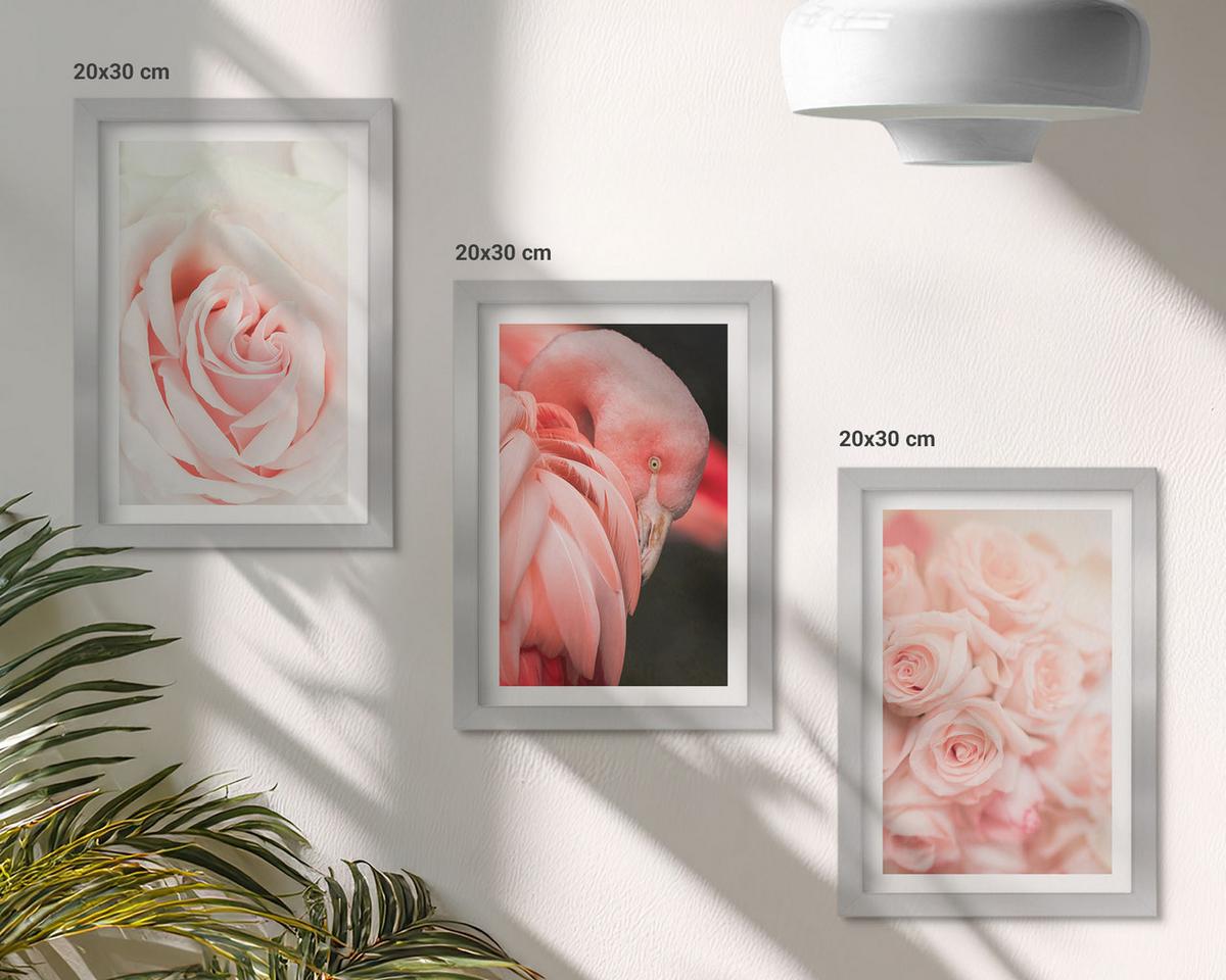 BILDER SET 3er Set - 20x30 cm Silberner Rahmen - Zartrosa Flamingos - Silberfarben, Kunststoff (20/30cm) - TULUP